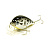 Воблер Lucky Craft Clutch SR_0218 White Bass 902