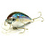 Воблер Lucky Craft Clutch SR_270 MS American Shad